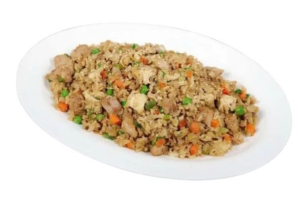 Chicken Fried Rice (1:1)